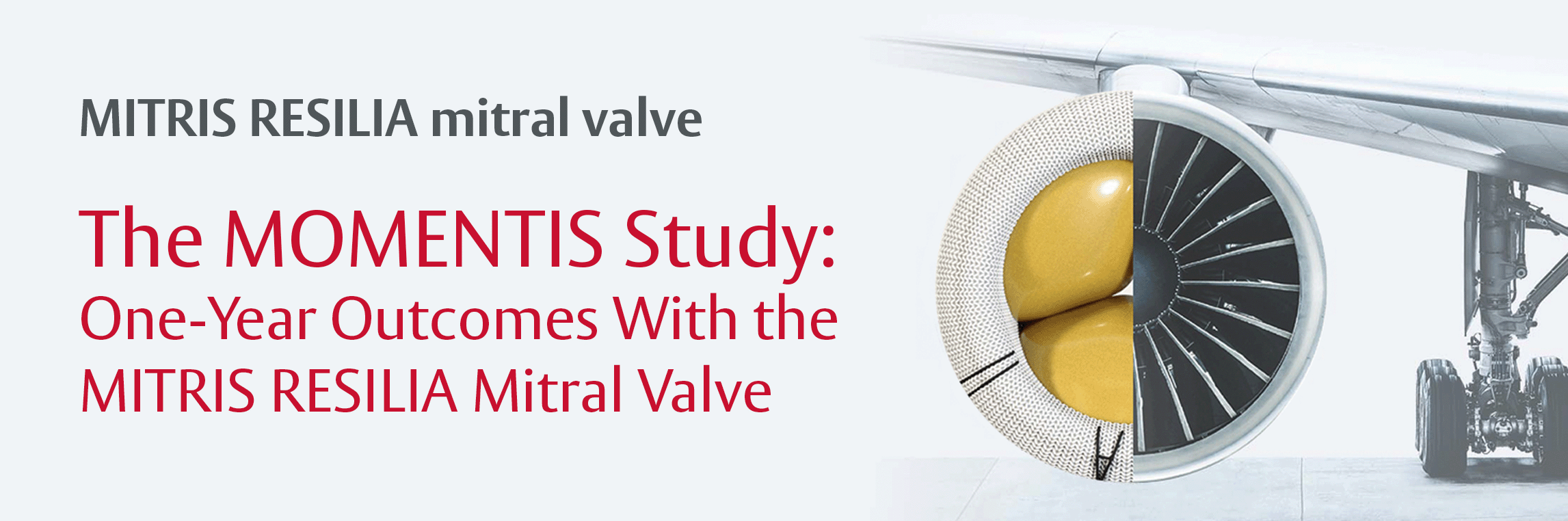 MOMENTIS Study: One‑Year Outcomes for the MITRIS RESILIA Mitral Valve